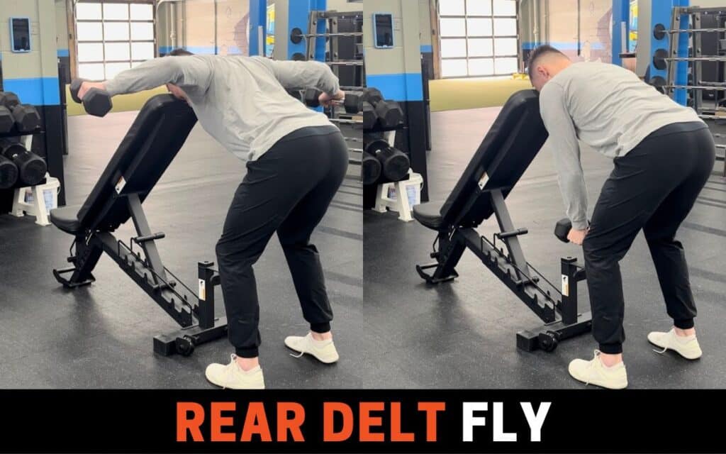 Bent Over Dumbbell Rear Delt Fly are one of the best dumbbell shoulder workouts, taken by Jake Woodruff, Strength Coach