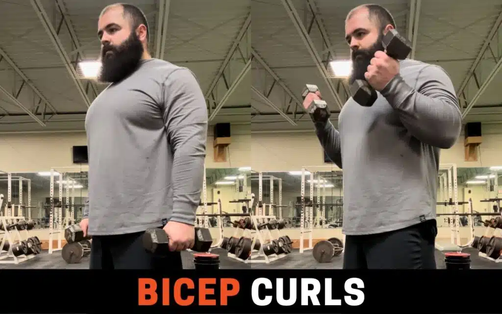 bicep curls