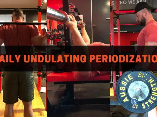 Daily Undulating Periodization