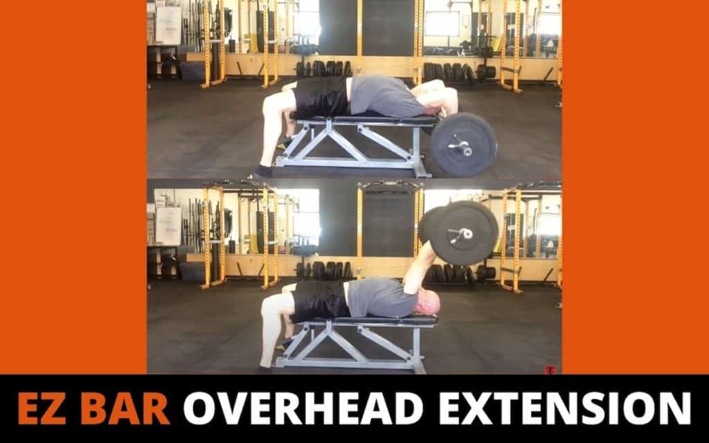 ez bar overhead extension is one of the best long head tricep exercises