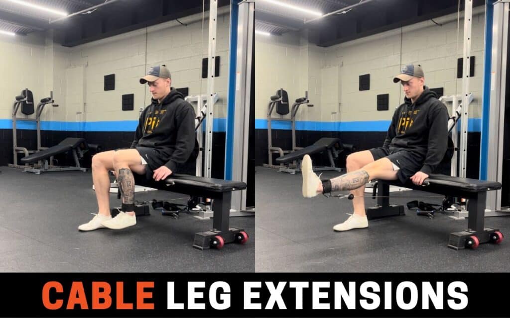 Cable Leg Extensions is one of the best leg extension alternatives, taken by Jake Woodruff, Strength Coach