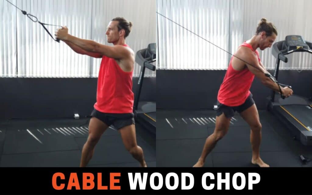 Cable Wood Chop is one of the best russian twist alternatives