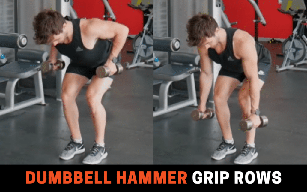 Dumbbell Hammer Grip Rows is one of the best compound bicep exercises