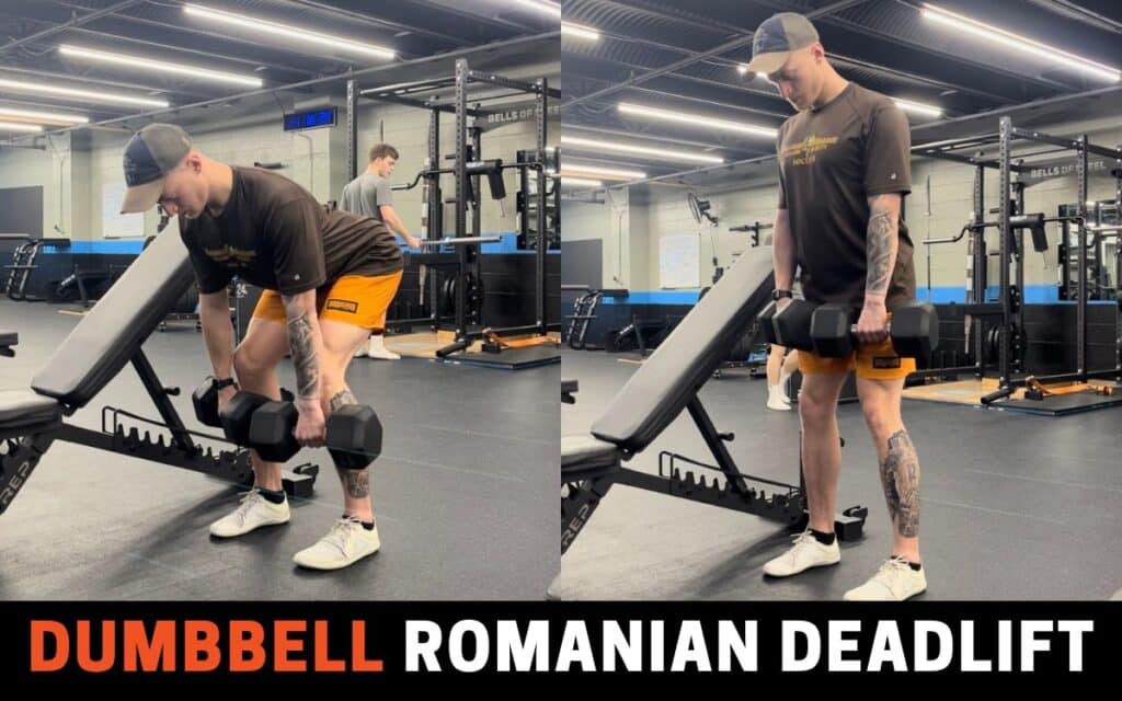 Dumbbell Romanian Deadlift is one of the best leg curl alternatives, taken by Jake Woodruff, Strength Coach