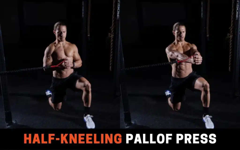 Half-Kneeling Pallof Press is one of the best russian twist alternatives