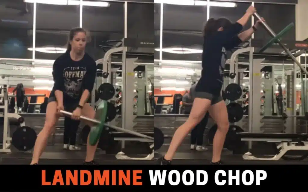 Landmine Wood Chop is one of the best russian twist alternatives