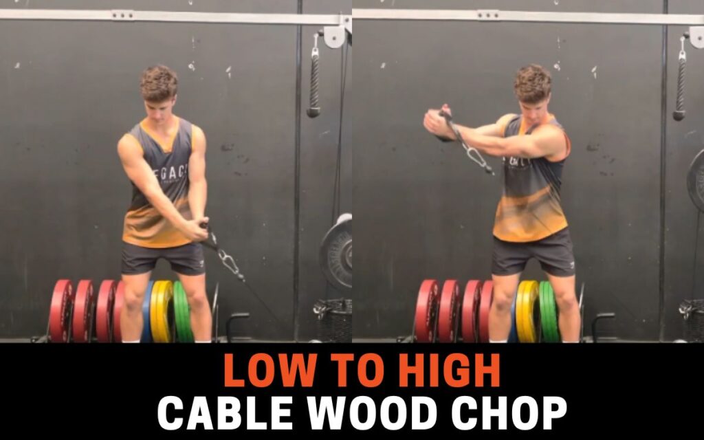 Low to High Cable Wood Chop is one of the best russian twist alternatives