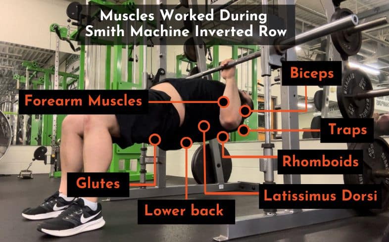 Muscles Worked During smith machine inverted row, taken by Joseph Lucero, Strength Coach