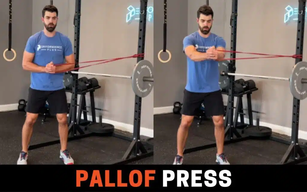 Pallof Press is one of the best russian twist alternatives