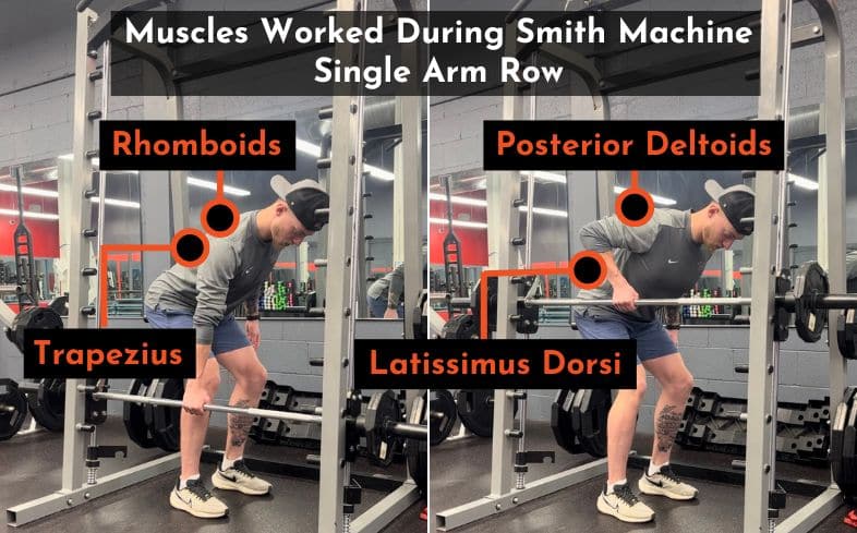 muscles worked during single arm smith machine row, taken by Jake Woodruff, Strength Coach