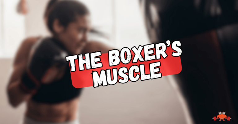 Lifters need to prioritize this underutilized muscle for shoulder stability and overhead power.